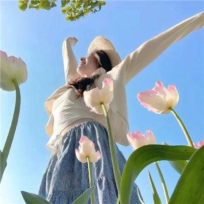 饲龙:我的五个神兽萌宝